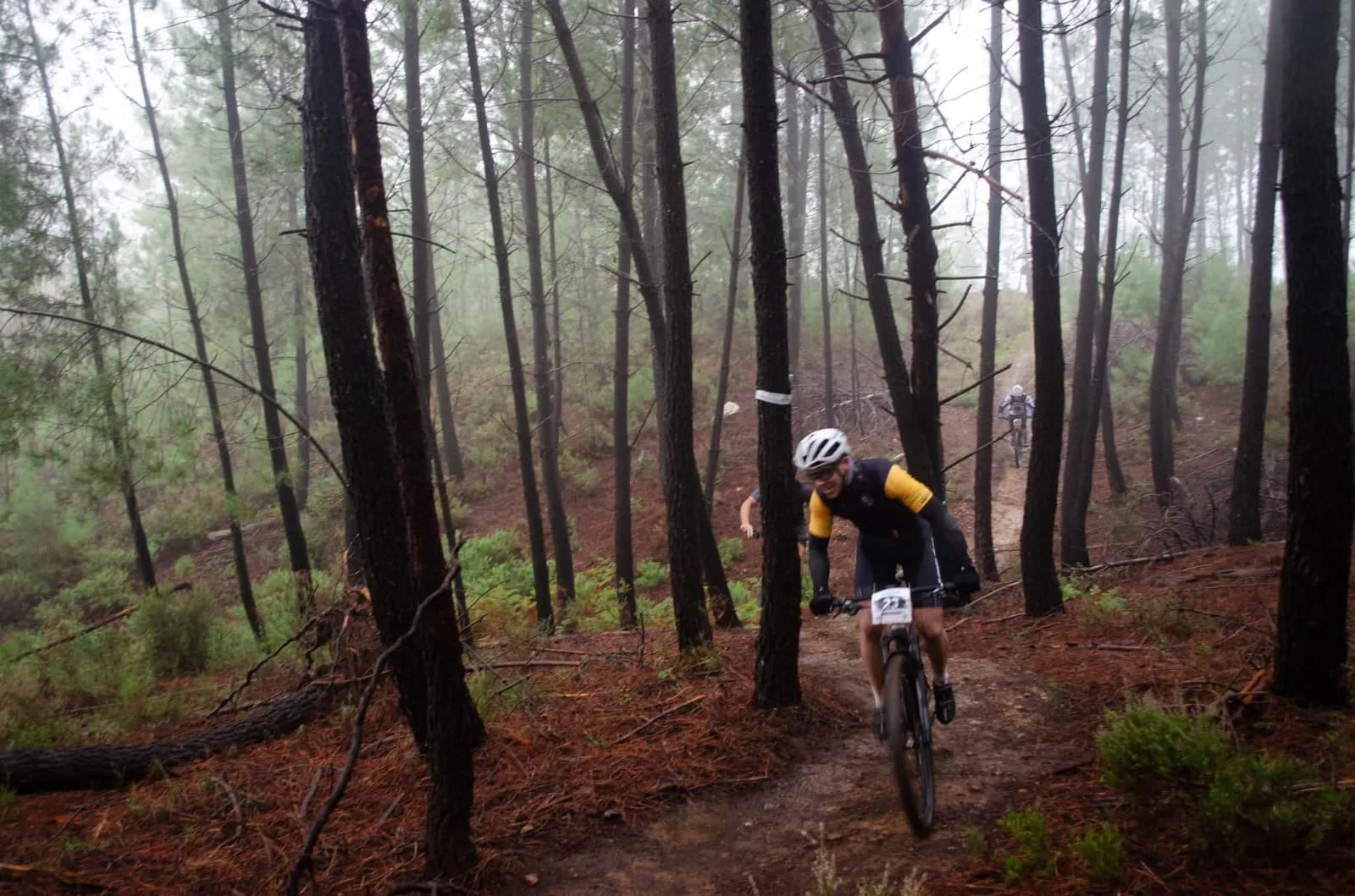 Foto 14 de RUTA BTT MADROÑUS