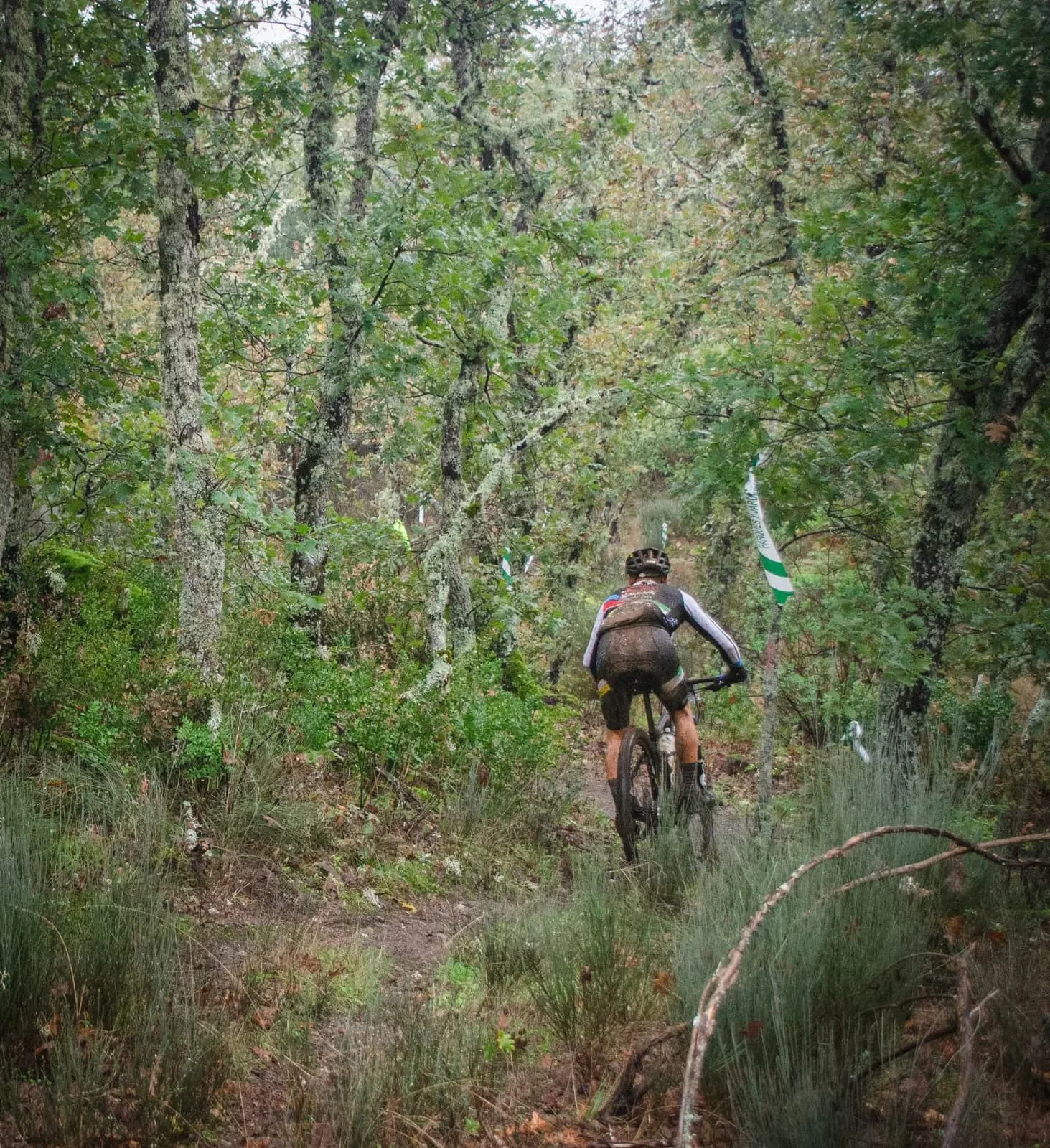 Foto 20 de RUTA BTT MADROÑUS