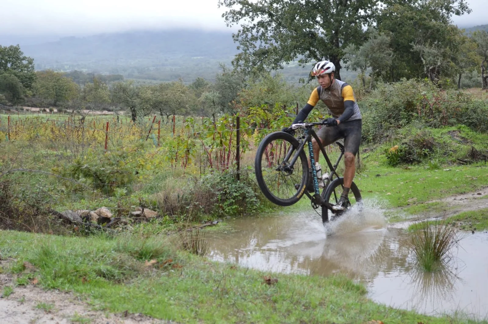 Foto 2 de RUTA BTT MADROÑUS