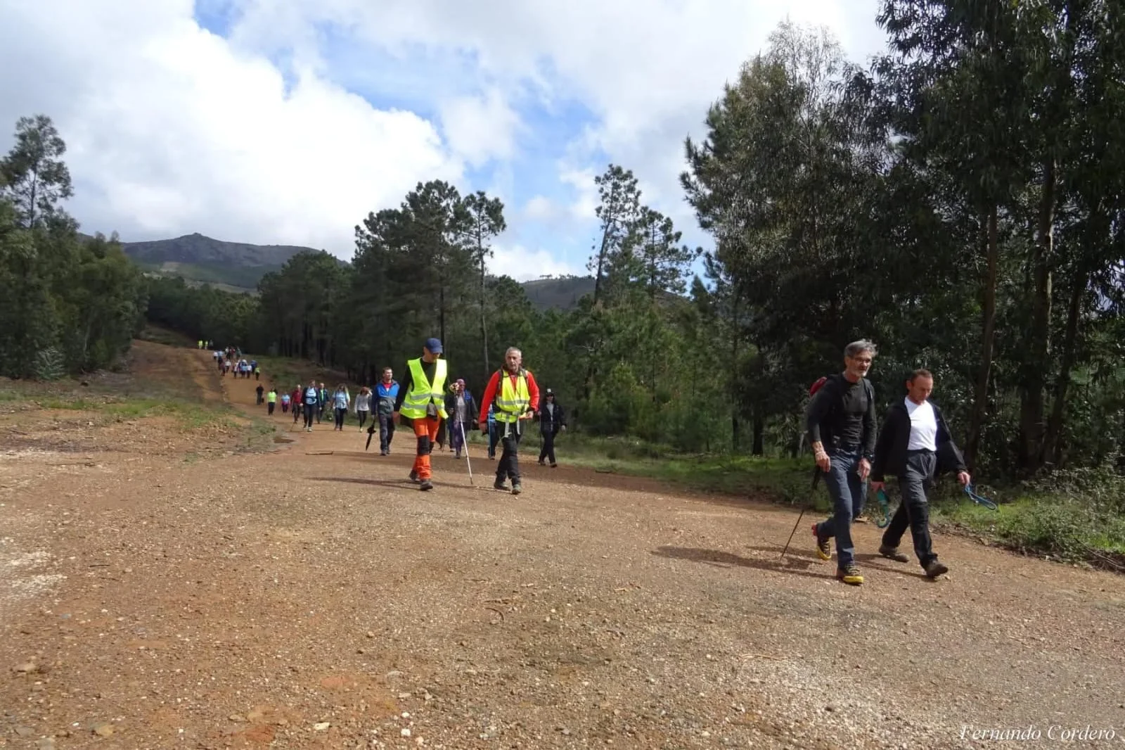 Foto 1 de RUTA SENDERISTA US MADROÑUS